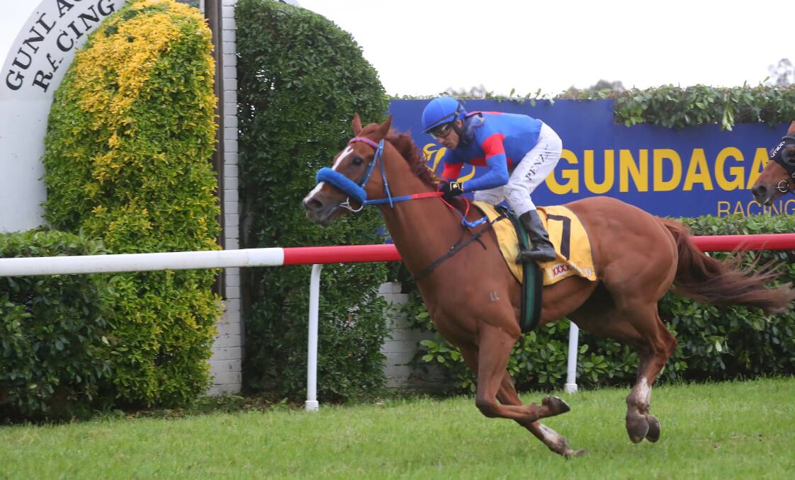 HOME AND HOSED: Jeff Penza guides Ready To Humble to victory in the $100,000 Snake Gully Cup (1400m) at Gundagai on Friday. Picture: Matt Malone