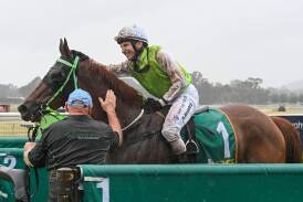 Danny Beasley returns on Another One after their Wodonga Cup triumph last Friday. Picture by Mark Jesser
