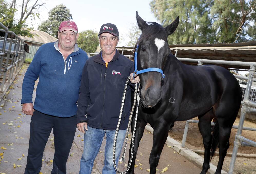 Owner Noel Penfold and trainer Scott Spackman with Rocket Tiger, who will contest the group two Gilgai Stakes at Flemington on Saturday. Picture by Les Smith