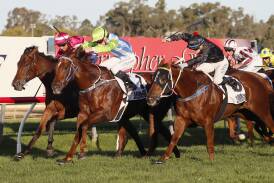 Front Page (middle) and Mnementh (right) fight out the finish to last year's Wagga Town Plate (1200m). Both are among the nominations for this year's edition. Picture by Les Smith