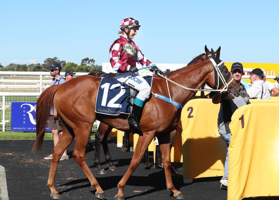 Brooke Sweeney returns on O' So Hazy after her win in the Country Championships heat at Wagga earlier in the year.
