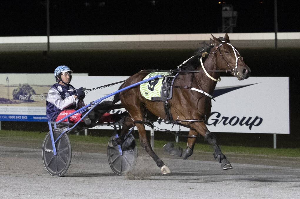 HOME AND HOSED: Jack Painting guides Braedos Lad to victory in the opening Riverina heat of the Regional Championships at Riverina Paceway on Tuesday night. Picture: Madeline Begley