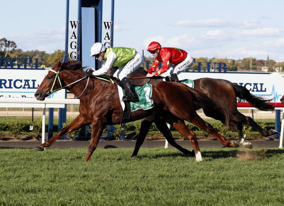 STRONG FINISH: Bonvalante storms home to get the better of Eyes To Eye at Murrumbidgee Turf Club on Thursday. Picture: Les Smith