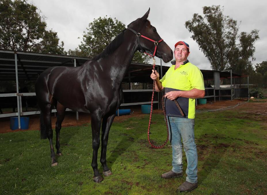 THE STABLE SWIMMER: Wagga trainer Trevor Sutherland with Gentleman Max ahead of his tilt at the Wagga Gold Cup on Friday. Picture: Les Smith