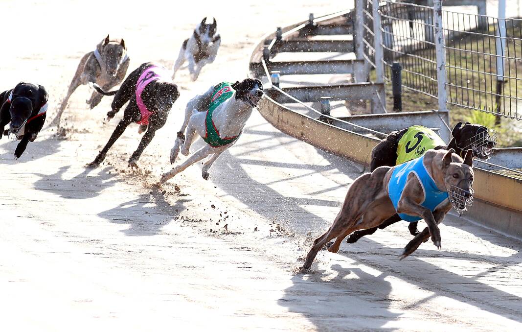 BIG DOLLARS: Strong prizemoney will be up for grabs in three races at Wagga on Friday night. Picture: Les Smith