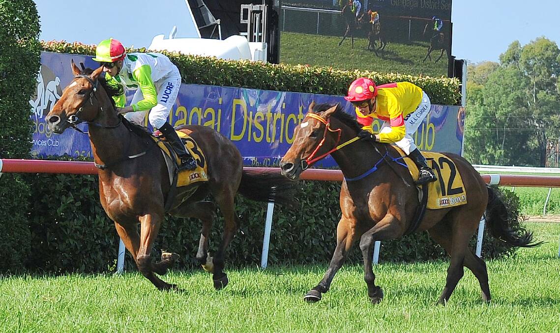 CAREER HIGHLIGHT: Zero To Ten, with Nick Heywood in the saddle, winning the 2015 Snake Gully Cup at Gundagai.