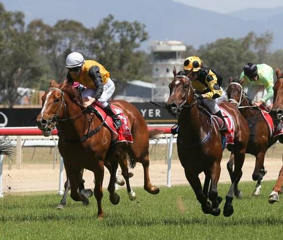 PROMOTED: Wagga galloper Liberty Boy (yellow and black) is now the winner of a Class Three Handicap (1400m) at Albury in May due to Benjamery returning a positive swab. Picture: The Border Mail