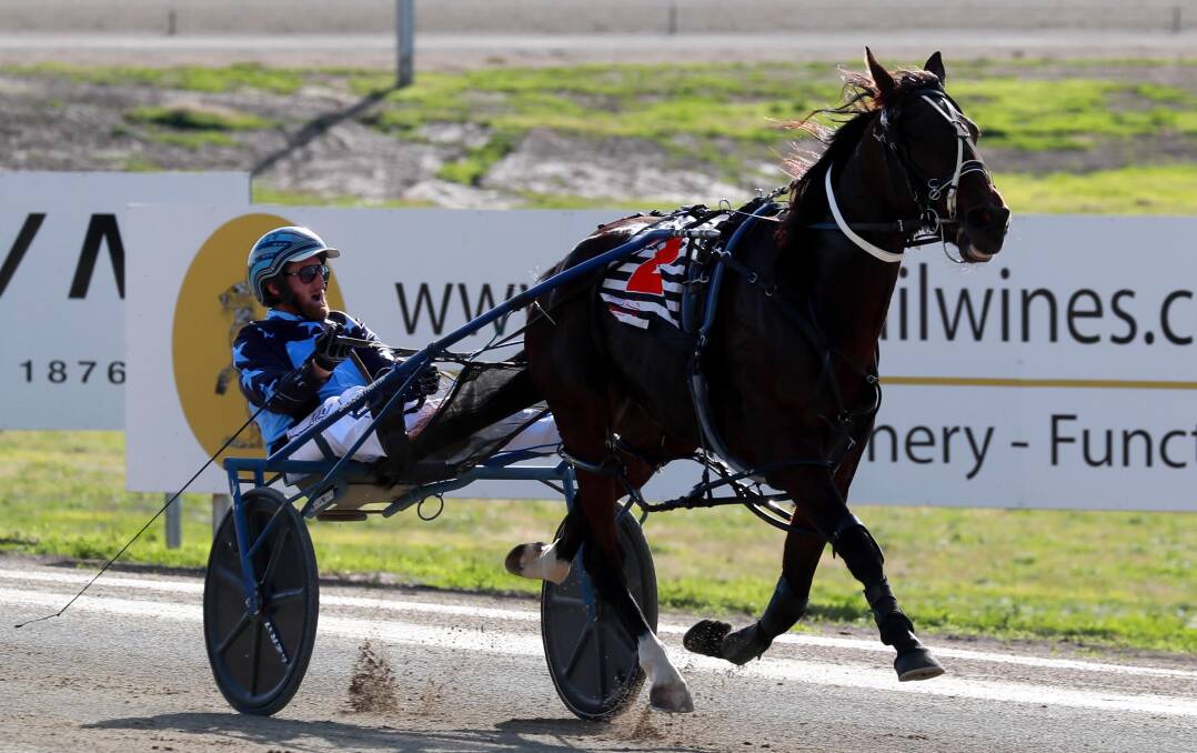 EXCITING TALENT: Whereyabinboppin cruises to victory for Jack Painting in his heat of the Regional Championships last month. Picture: Les Smith