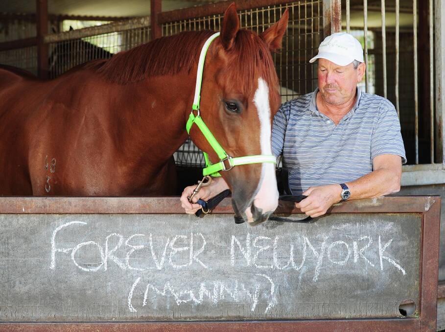 Gary Colvin is aiming Forever Newyork at the Wagga Town Plate.
