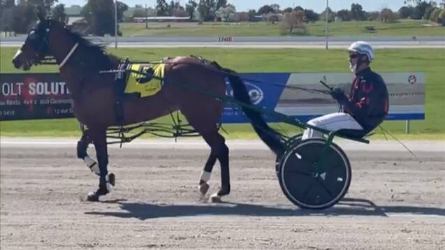 BRIDESMAID: West Wyalong mare Charlotte Caslick, with Sam Hewitt in the seat, will be looking to breakthrough after six consecutive second placings at Riverina Paceway on Friday. 