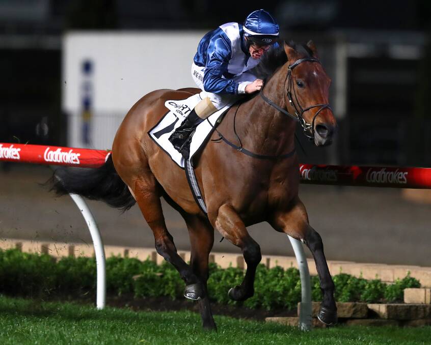 Joe Bowditch rides Viddora to victory in the Moir Stakes at Moonee Valley.