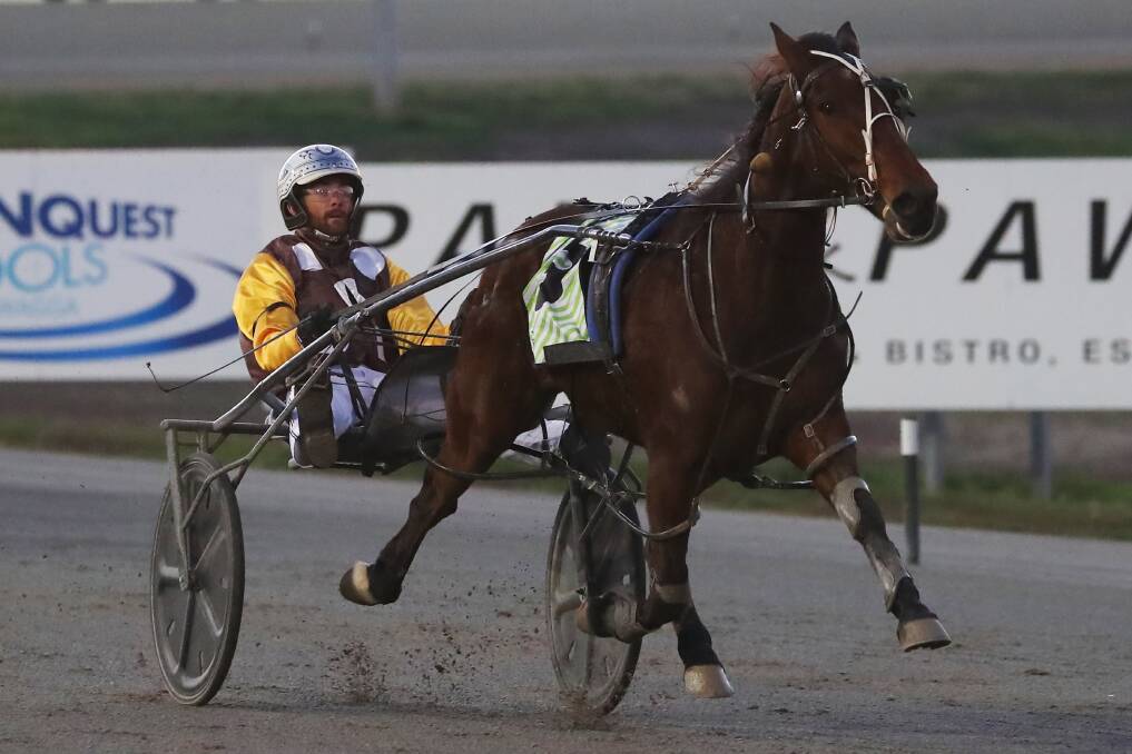 HOME HE GOES: Peter McRae guides Norms Courage to victory in the opening race at Riverina Paceway on Tuesday night. Picture: Emma Hillier