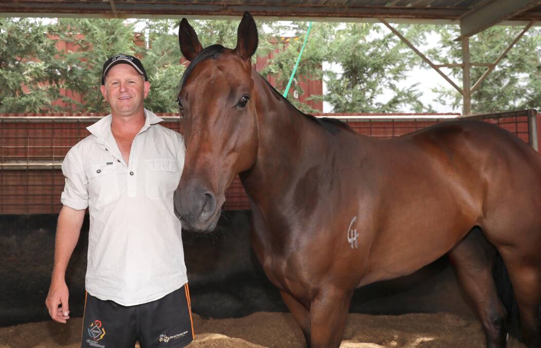 PRELUDE BOUND: Wagga trainer Chris Heywood is keen to start Delivered in the Town Plate Prelude (1200m) on Sunday. 