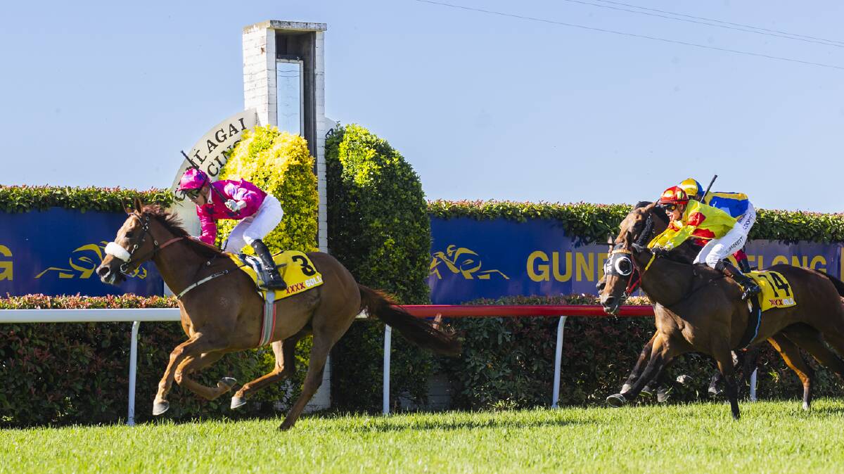 Suparazi, with Nick Heywood in the saddle, captures the $100,000 Snake Gully Cup (1400m) at Gundagai on Friday. Picture by Ash Smith