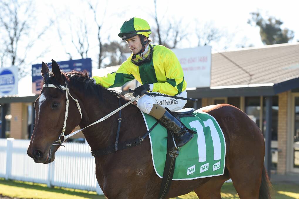 JOB DONE: Josh Richards returns after guiding Sunrise Ruby to victory on debut at Albury on Monday. Picture: Mark Jesser