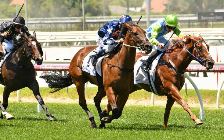 CLOSE CALL: Geoff Duryea's star filly, News Girl (right), survived an accident on the way home from Caulfield on Saturday. Picture: Quentin Lang