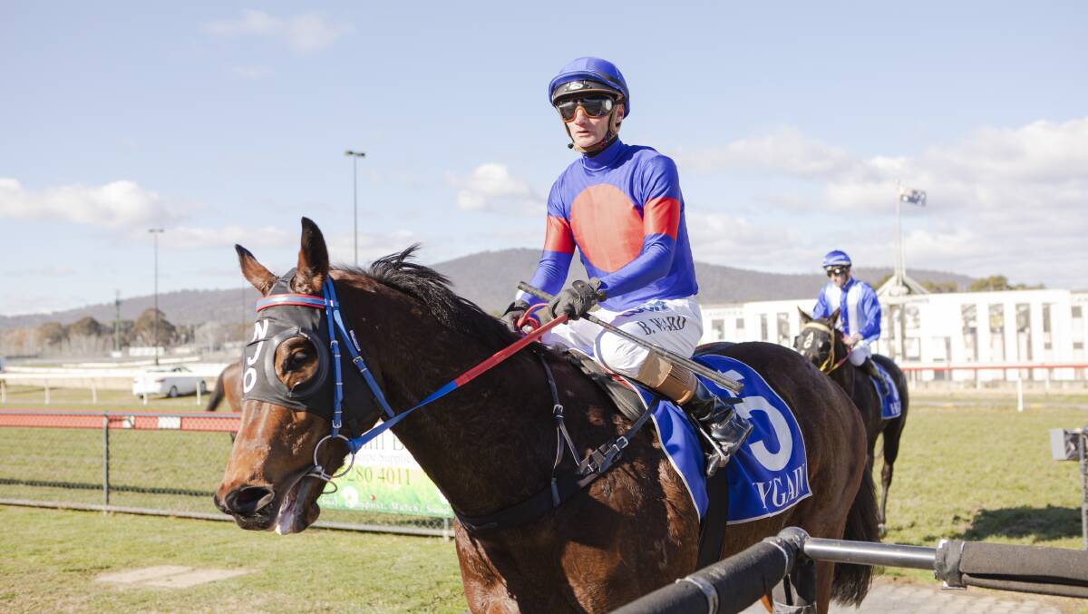 LEADING CONTENDER: Brendan Ward will partner Contaminated in the inaugural Tumut Mile on Saturday. Picture: Jamila Toderas