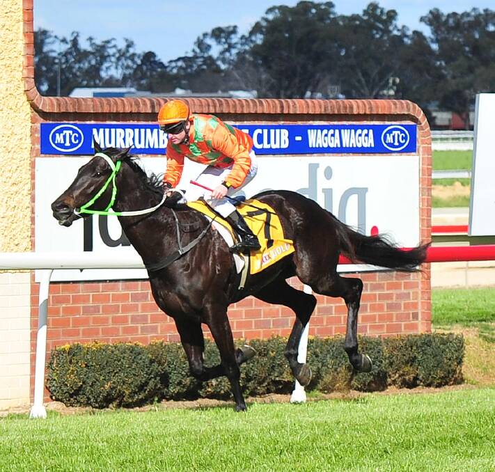 Noble Descent winning at Wagga back in 2015.