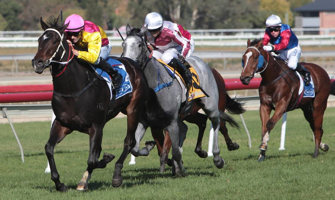 BACK IN ACTION: Flash Fibian winning at the Wagga Gold Cup carnival as a two-year-old.