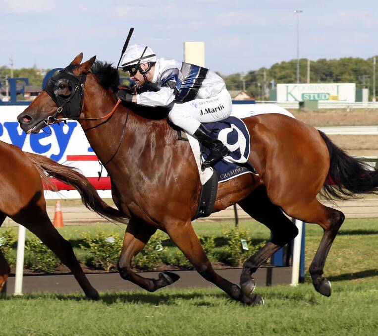 STAYING TEST: Tap 'N' Run, pictured running second to Another One in the SDRA Country Championships Qualifier, will step out to 1800m for the first time in the Murrumbidgee Cup on Sunday. Picture: Les Smith