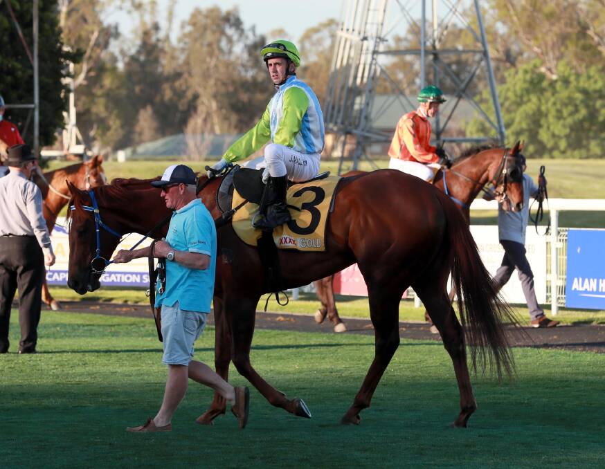 ON THE COMEBACK TRAIL: Front Page trialled at Wodonga this week and will look to resume from injury in the $200,000 Wagga Town Plate (1200m).