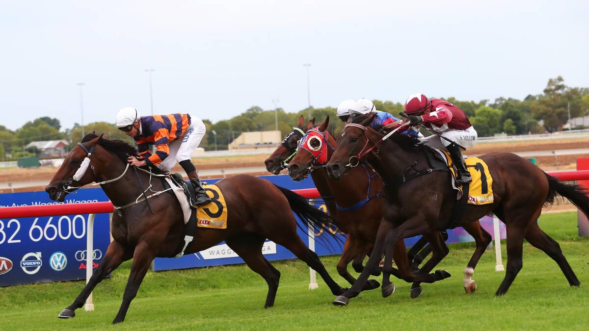 TOO GOOD: Jester Angel, with Blake McDougall on board, takes out the Wagga Scramble (1000m) at Murrumbidgee Turf Club. Picture: Emma Hillier