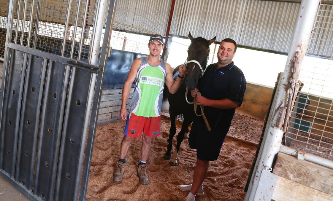 EXCITING TIMES: Stable foreman Myles Carroll and owner Tom Hurst with Rock 'N' Roller at Wayne Carroll's stables on Tuesday. Picture: Emma Hillier