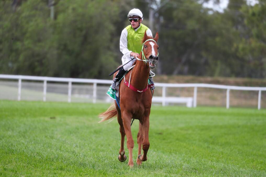 ON TRACK: Another One, with Nick Heywood in the saddle, is shaping up as the number one seed for the SDRA Country Championships Qualifier at Wagga on February 20. Picture: Emma Hillier