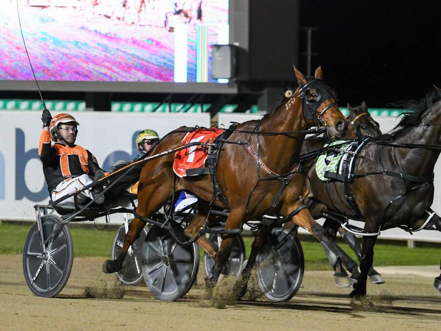 Robbie Morris steers Port Au Prince to victory in the Carousel Final at Menangle last month. Picture by Racing at Club Menangle Trackside