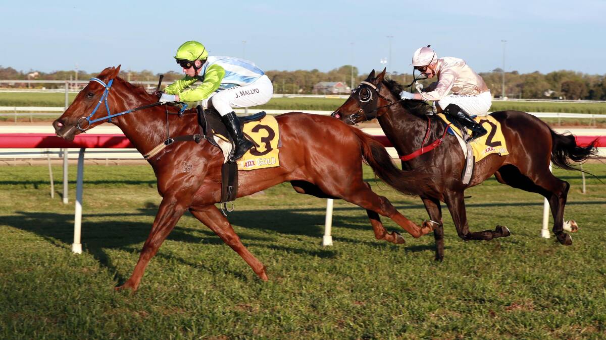 WELL-SUPPORTED: Front Page has been best backed to win Thursday's $200,000 Wagga Town Plate (1200m). Picture: Les Smith