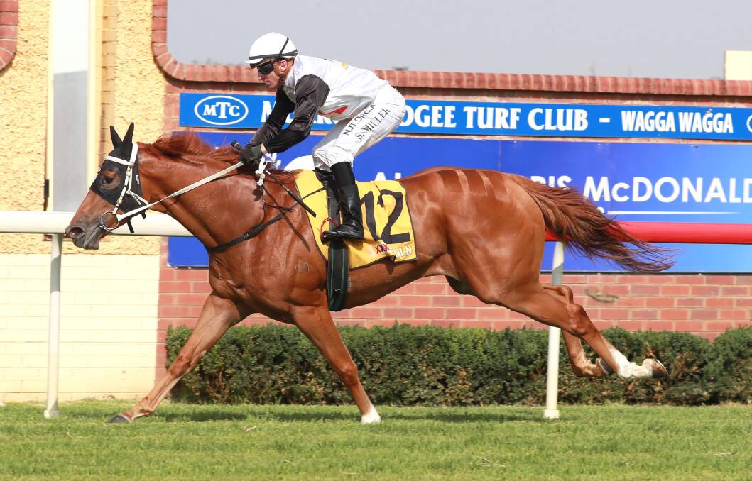 FAST: Affinity Beyond, with Simon Miller on board, races away to win impressively at Murrumbidgee Turf Club on Thursday. Picture: Les Smith