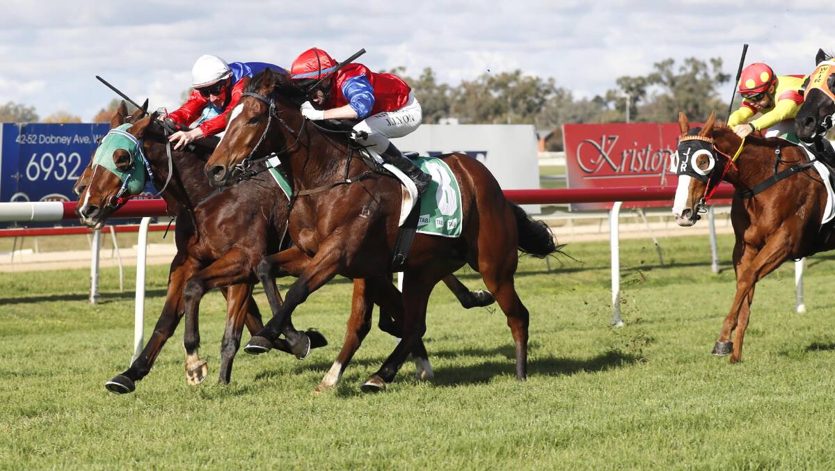 CLOSE CALL: Blazing Zone (left) edges out Crazing Dawn at Murrumbidgee Turf Club on Saturday. Picture: Les Smith