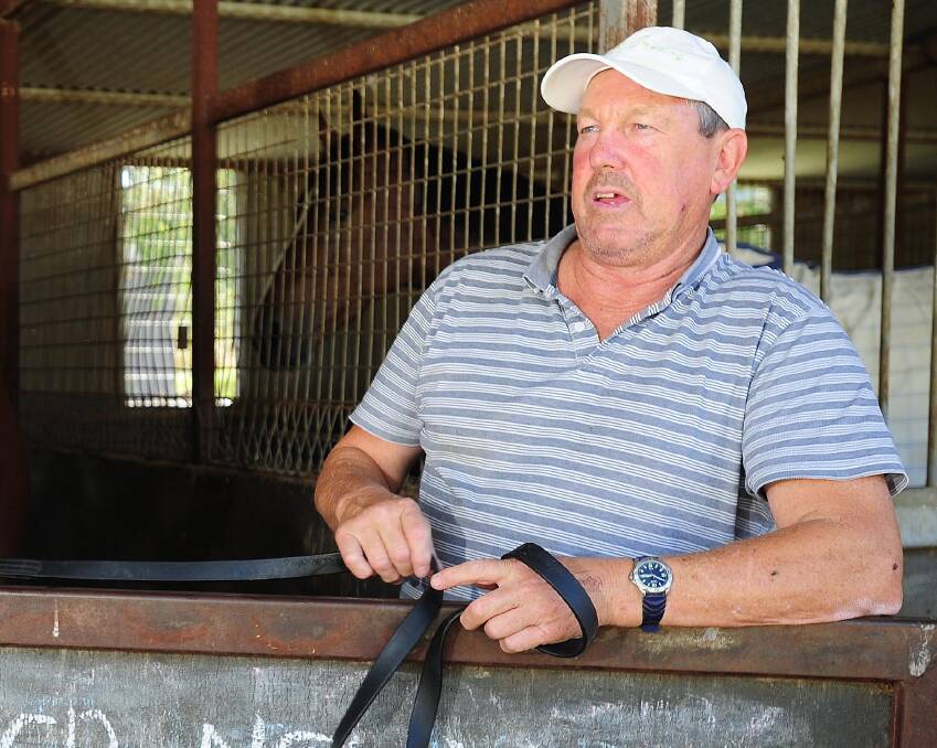 BACK TO THE DRAWING BOARD: Wagga trainer Gary Colvin will look for a new plan for Another One after the cancellation of last week's barrier trials at Corowa.