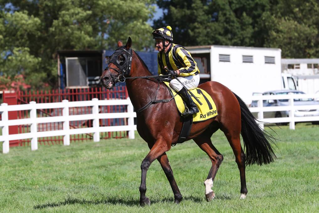 HOMETOWN HOPE: Great Glen will have plenty of supporters at Gundagai.