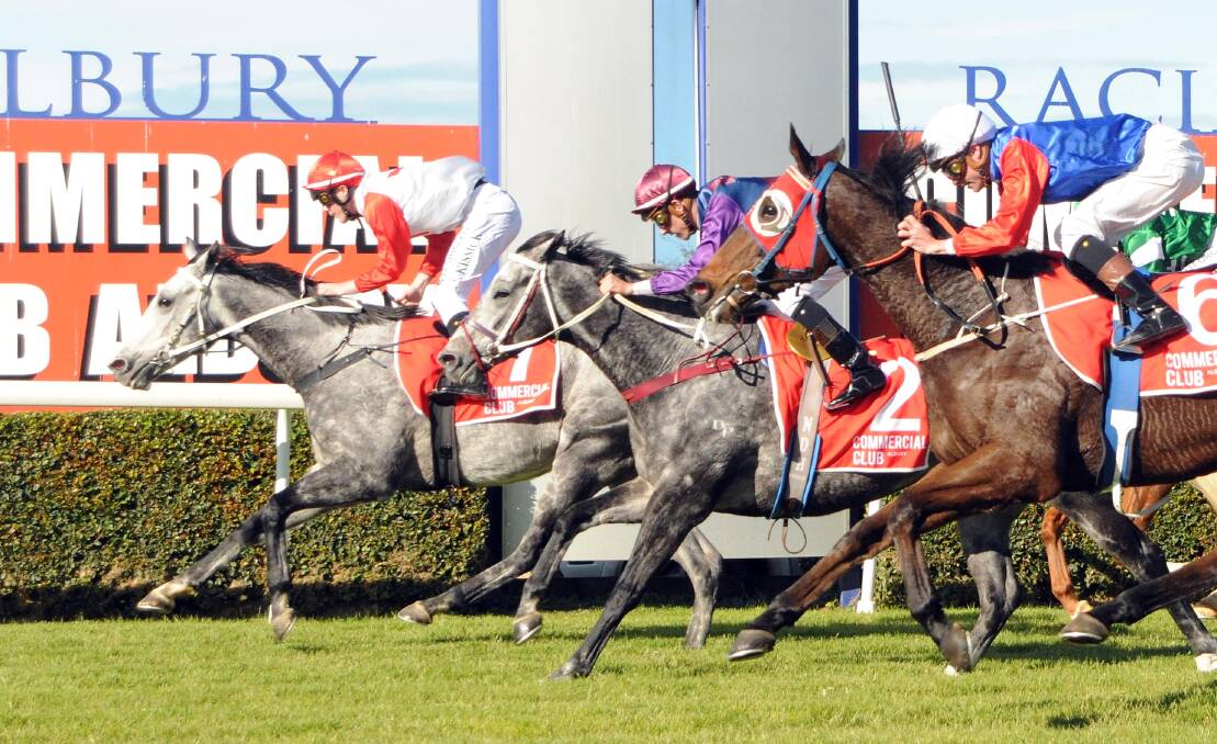 SPECIAL MOMENT: John Kissick wins on Waiting For A Mate at Albury. Picture: Kylie Shaw - Trackpix