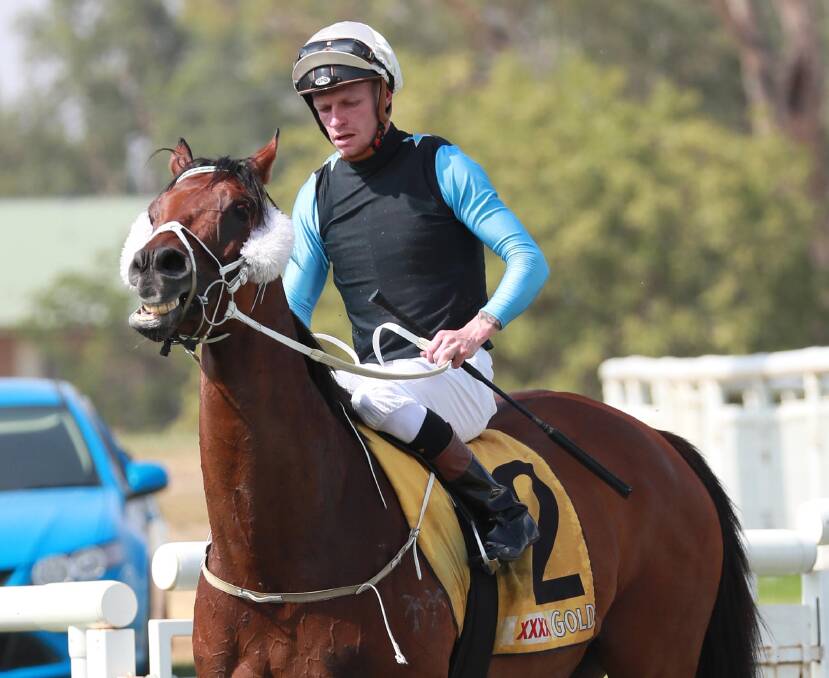 Blaike McDougall returns a winner on Defy at Wagga on Thursday. Picture: Les Smith