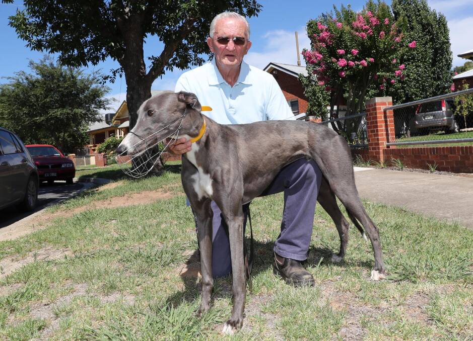 EXPERIENCE: Wagga trainer John Jones, pictured with Controller, will have Corrupted in at Wagga on Friday. Picture: Les Smith