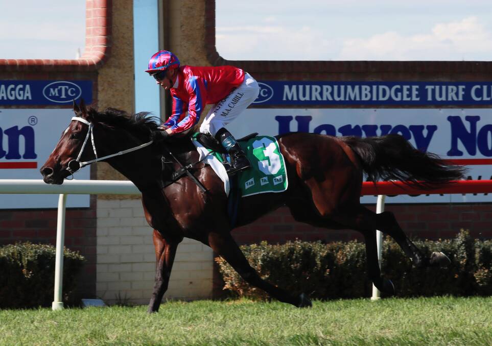 IMPRESSIVE: Catanzaro cruised to a strong win in the opening race on Wagga Gold Cup day. Picture: Les Smith