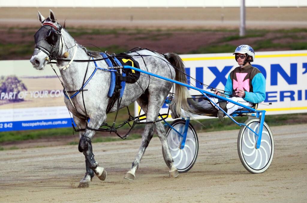 CUP QUEST: Time Keepa Lombo, with Peter McRae in the sulky, will return to the track in a heat of the Junee Pacers Cup on Tuesday night. Pictures: Les Smith