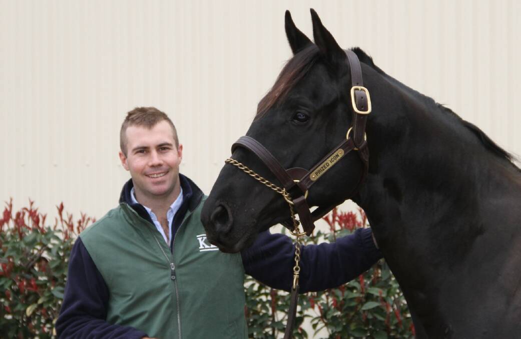 PRIZED POSSESSION: Kooringal Stud's Angus Lamont with first season stallion Prized Icon ahead of their annual open day on Sunday.