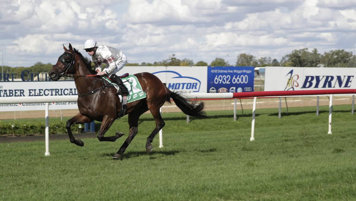 MAIDEN NO MORE: Verbrek, with Brock Ryan in the saddle, races away to take out the Union Club Hotel C,G&E Maiden Plate (1000m) at Murrumbidgee Turf Club on Sunday. Picture: Madeline Begley