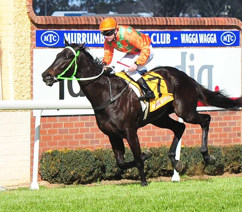 CUP BLOW: The Gary Colvin-trained Noble Descent has been ruled out of the Wagga Gold Cup due to injury.