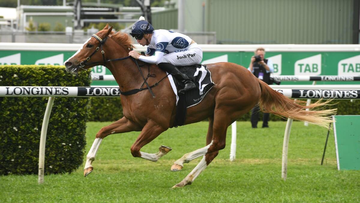 LOCAL CONNECTION: Magic Millions 2YO Classic contender Every Rose will represent Wagga's Andrea Bradley in the feature race.