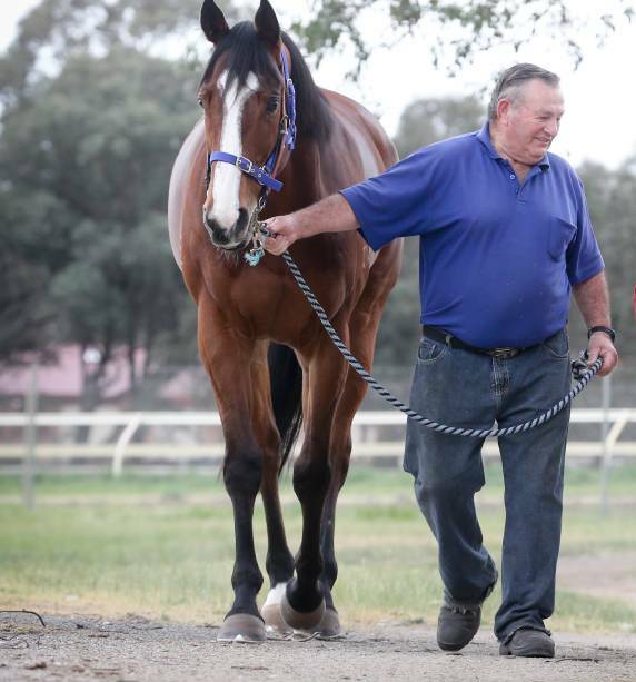 Wodonga trainer John Rooney and Murrawee. Picture: The Border Mail