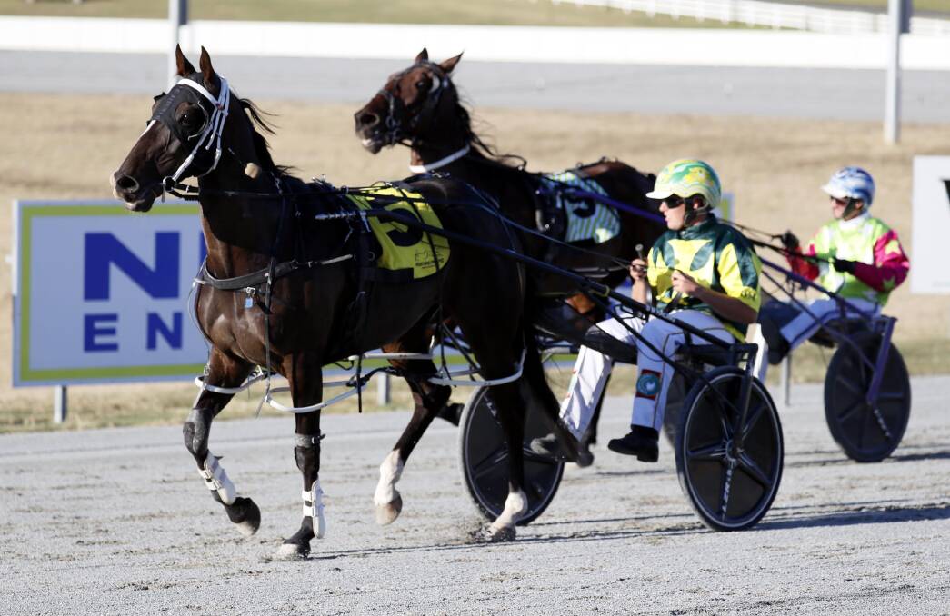 CAREER HIGHLIGHT: Blake Micallef rode four winners at Riverina Paceway on Tuesday night, three of which were in the green and gold colours of his father David. 