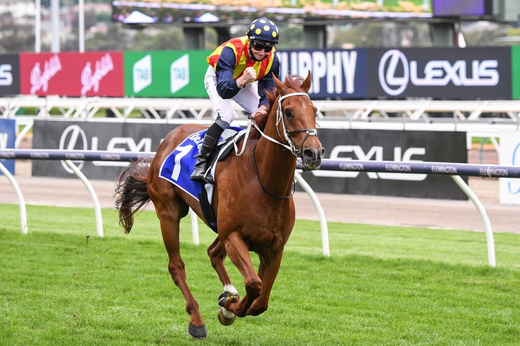 Nature Strip's win in the Darley Sprint Classic was James McDonald's ninth at the Flemington carnival. Picture: Getty