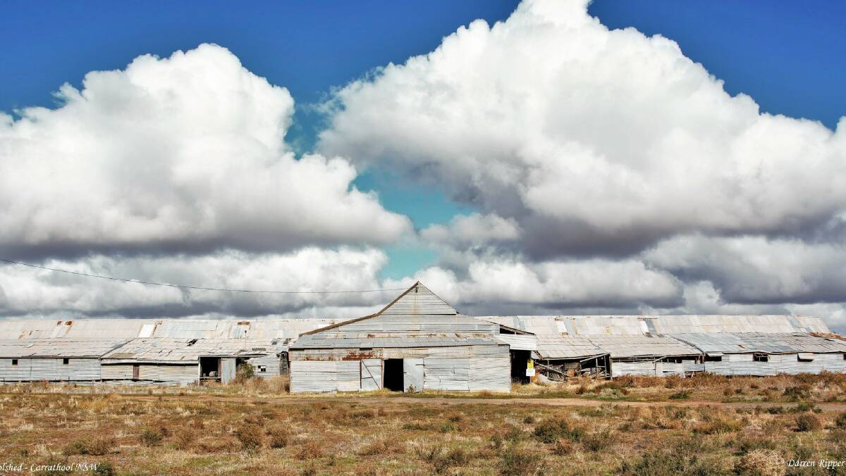 LOCAL SUPPORT NEEDED: The restoration and preservation of Toganmain Woolshed needs local support in order to continue. PHOTO: Darren Ripper Photography