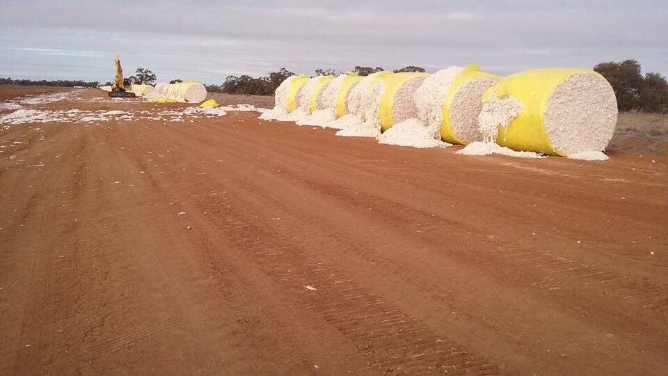 Cotton bales worth $400k slashed apart by ‘senseless’ vandals