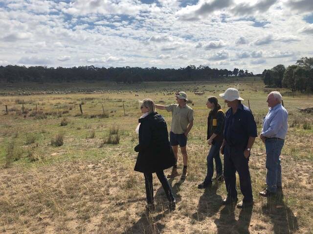 IN THE MARKET: Kering Group's Helen Crowley with landowner Harry Watson, livestock consultant Anna Heaton, David Watson and Land to Market's Brian Marshall.