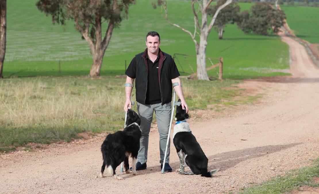 RECOVERY ROAD: Conor McConnell with two of the seven dogs he is currently training on his property in Marrar. Picture: Les Smith